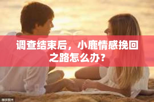 调查结束后，小鹿情感挽回之路怎么办？