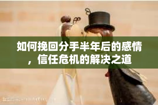 如何挽回分手半年后的感情，信任危机的解决之道