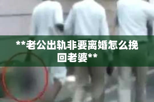 **老公出轨非要离婚怎么挽回老婆**
