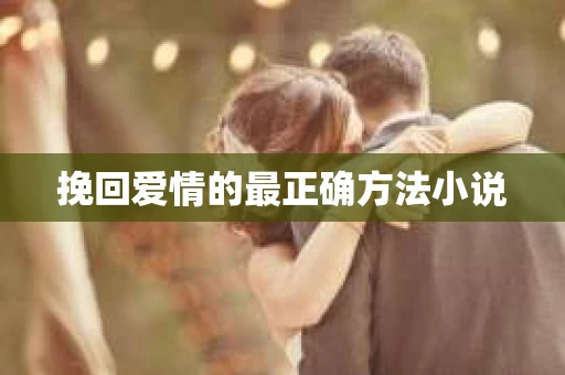 挽回爱情的最正确方法小说