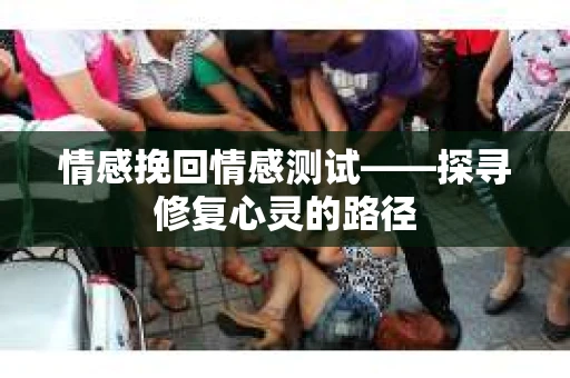 情感挽回情感测试——探寻修复心灵的路径