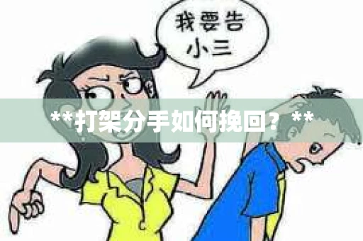 **打架分手如何挽回？**