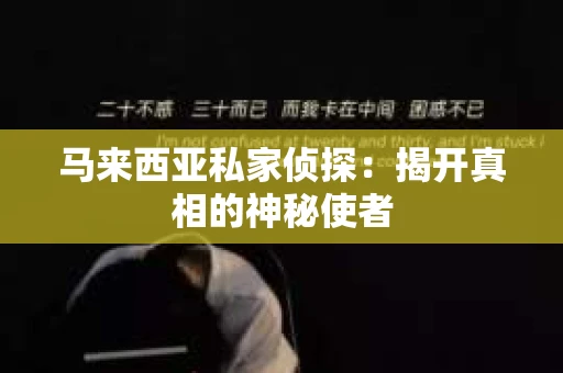 马来西亚私家侦探：揭开真相的神秘使者