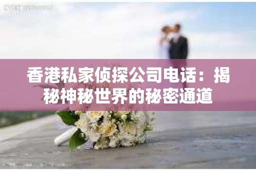 香港私家侦探公司电话：揭秘神秘世界的秘密通道