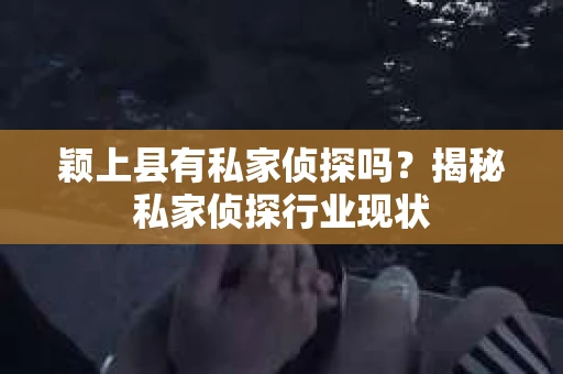 颖上县有私家侦探吗？揭秘私家侦探行业现状