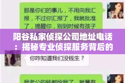 阳谷私家侦探公司地址电话：揭秘专业侦探服务背后的故事