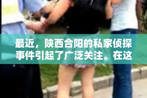 最近，陕西合阳的私家侦探事件引起了广泛关注。在这个信息爆炸的时代，隐私保护显得尤为重要。今天，我们就来聊聊这个事件，看看它背后的一些故事。