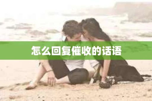 怎么回复催收的话语