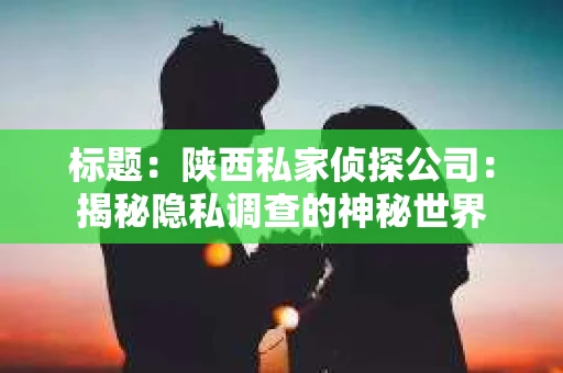 标题：陕西私家侦探公司：揭秘隐私调查的神秘世界