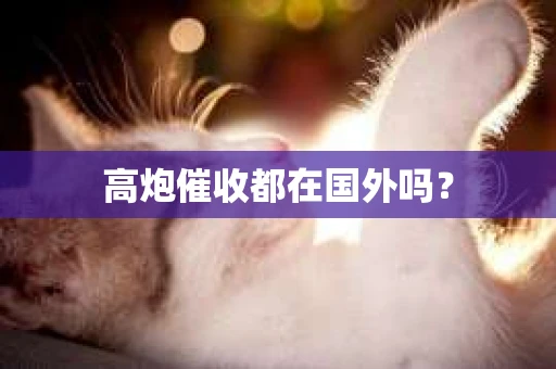 高炮催收都在国外吗？