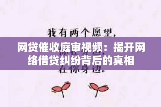 网贷催收庭审视频：揭开网络借贷纠纷背后的真相