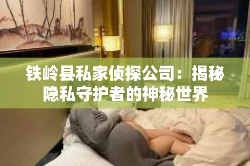 铁岭县私家侦探公司：揭秘隐私守护者的神秘世界