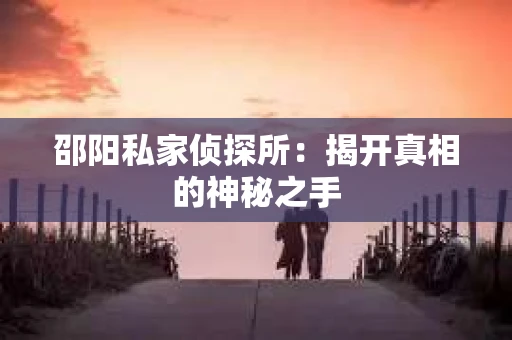 邵阳私家侦探所：揭开真相的神秘之手