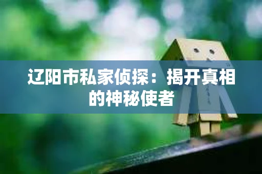 辽阳市私家侦探：揭开真相的神秘使者