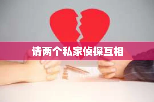 请两个私家侦探互相