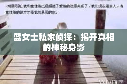 蓝女士私家侦探：揭开真相的神秘身影