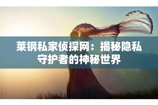 莱钢私家侦探网：揭秘隐私守护者的神秘世界