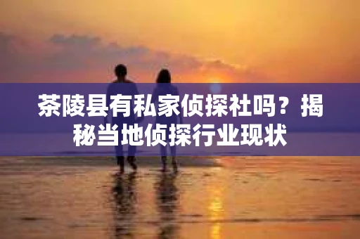 茶陵县有私家侦探社吗？揭秘当地侦探行业现状