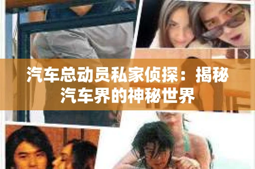 汽车总动员私家侦探：揭秘汽车界的神秘世界