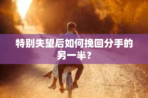 特别失望后如何挽回分手的另一半？