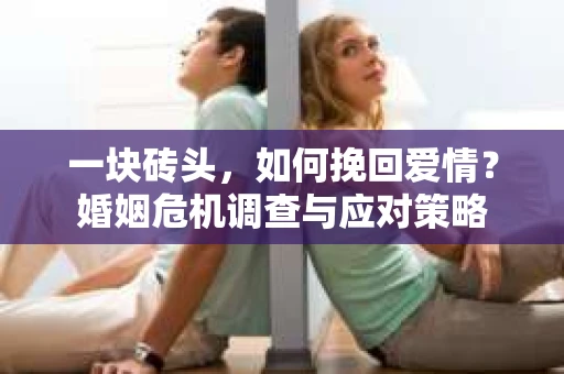 一块砖头，如何挽回爱情？婚姻危机调查与应对策略