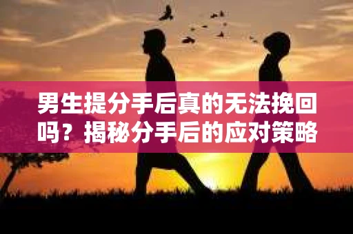 男生提分手后真的无法挽回吗?揭秘分手后的应对策略 男生提分手后真的无法挽回吗?揭秘分手后的应对策略