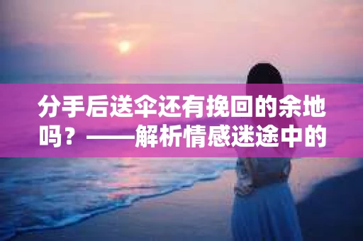 分手后送伞还有挽回的余地吗？——解析情感迷途中的决策