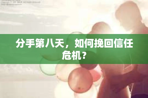 分手第八天，如何挽回信任危机？